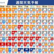 ヒメ日記 2026/08/03 12:03 投稿 ほたる ミラー