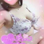 ヒメ日記 2026/08/01 20:20 投稿 りさ One More 奥様 鶯谷店