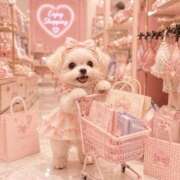 魅惑姫/みわくひめ 新しい下着🛍️ ギャルズネットワーク大阪