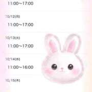 ヒメ日記 2026/10/11 01:05 投稿 芽衣（めい） 熟女の風俗最終章 大宮店