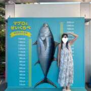 ヒメ日記 2026/07/27 20:27 投稿 ひなり 千葉人妻セレブリティ（ユメオト）