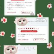 ひなり 次回の出勤日は11日(日)です♩ 千葉人妻セレブリティ（ユメオト）