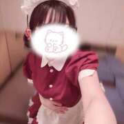 ヒメ日記 2026/07/09 06:00 投稿 迷い猫 モカ ハレ系 メイドin福岡