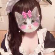 迷い猫 モカ おはようございます🥱☀️ ハレ系 メイドin福岡