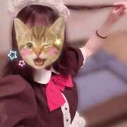 ヒメ日記 2026/07/17 18:03 投稿 迷い猫 モカ ハレ系 メイドin福岡