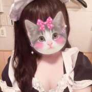 ヒメ日記 2026/07/22 09:15 投稿 迷い猫 モカ ハレ系 メイドin福岡