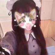ヒメ日記 2026/07/23 06:00 投稿 迷い猫 モカ ハレ系 メイドin福岡