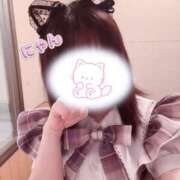 ヒメ日記 2026/07/24 06:00 投稿 迷い猫 モカ ハレ系 メイドin福岡
