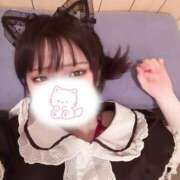 ヒメ日記 2026/07/27 18:43 投稿 迷い猫 モカ ハレ系 メイドin福岡