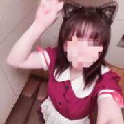 ヒメ日記 2026/08/02 14:31 投稿 迷い猫 モカ ハレ系 メイドin福岡