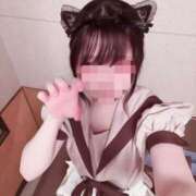 ヒメ日記 2026/08/08 08:47 投稿 迷い猫 モカ ハレ系 メイドin福岡