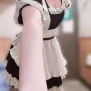 ヒメ日記 2026/08/20 13:09 投稿 迷い猫 モカ ハレ系 メイドin福岡