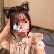 ヒメ日記 2026/09/11 17:40 投稿 迷い猫 モカ ハレ系 メイドin福岡
