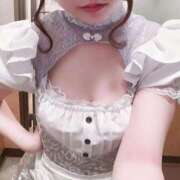 ヒメ日記 2026/09/12 10:10 投稿 迷い猫 モカ ハレ系 メイドin福岡