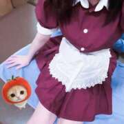 ヒメ日記 2026/09/13 13:58 投稿 迷い猫 モカ ハレ系 メイドin福岡