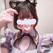 ヒメ日記 2026/09/14 19:29 投稿 迷い猫 モカ ハレ系 メイドin福岡