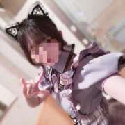 ヒメ日記 2026/10/10 06:11 投稿 迷い猫 モカ ハレ系 メイドin福岡