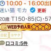 ヒメ日記 2026/10/15 10:40 投稿 迷い猫 モカ ハレ系 メイドin福岡