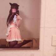ヒメ日記 2026/10/20 09:59 投稿 迷い猫 モカ ハレ系 メイドin福岡