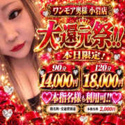 ヒメ日記 2026/10/20 12:35 投稿 れな One More 奥様 小岩店