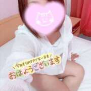 ヒメ日記 2026/08/08 09:51 投稿 まい 水戸人妻花壇