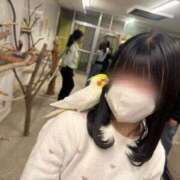 ヒメ日記 2026/06/26 00:29 投稿 柚乃いぶ 池袋パラダイス