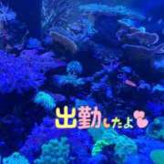 ヒメ日記 2026/07/21 09:52 投稿 まゆか マダムン谷九