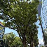 ヒメ日記 2026/07/20 12:40 投稿 るな ZERO