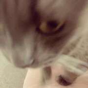 ヒメ日記 2026/07/02 12:06 投稿 みなも with SPA (ウィズスパ)
