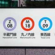 ヒメ日記 2026/08/12 12:11 投稿 きき 錦糸町人妻セレブリティ（ユメオト）