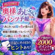 ヒメ日記 2026/06/26 00:00 投稿 さくらこ 奥鉄オクテツ兵庫