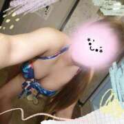 ヒメ日記 2026/08/19 07:51 投稿 ここ 新宿プチドール