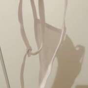 ヒメ日記 2026/09/16 22:18 投稿 きら 月兎（GET）