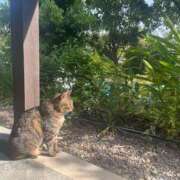 ヒメ日記 2026/07/16 17:17 投稿 ◆ゆま-プラチナ◆【性感】 RUSH東広島店（RUSH ラッシュ グループ）
