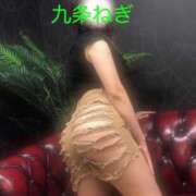 ヒメ日記 2026/06/26 06:45 投稿 九条ねぎ 松戸人妻花壇