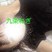 ヒメ日記 2026/06/28 07:31 投稿 九条ねぎ 松戸人妻花壇