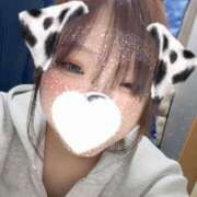 ヒメ日記 2026/07/07 17:02 投稿 りく スッキリ！！日本橋店