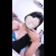 ヒメ日記 2026/06/25 08:49 投稿 ぽんず I❤HIMEJI（アイラブ姫路）