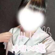 ヒメ日記 2026/07/04 14:35 投稿 みに Beppin house