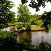 ヒメ日記 2026/07/29 12:53 投稿 愛真【えま】 人妻日和(久喜)