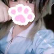 ヒメ日記 2026/09/19 11:40 投稿 あおい コンカフェ×オナクラ @LOVE日本橋店