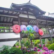 ヒメ日記 2026/06/24 16:21 投稿 聖花【せいか】 人妻日和(久喜)