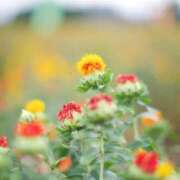 ヒメ日記 2026/06/26 22:57 投稿 聖花【せいか】 人妻日和(久喜)