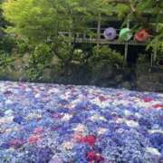 ヒメ日記 2026/07/04 07:00 投稿 聖花【せいか】 人妻日和(久喜)