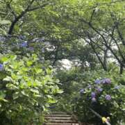 ヒメ日記 2026/07/09 09:25 投稿 聖花【せいか】 人妻日和(久喜)