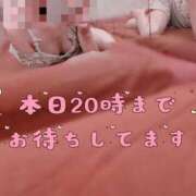 ヒメ日記 2026/08/29 13:19 投稿 春乃 すう 京都ホットポイント