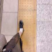 ヒメ日記 2026/09/20 10:48 投稿 なつな 錦糸町人妻セレブリティ（ユメオト）