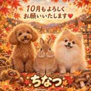ヒメ日記 2026/10/01 11:00 投稿 赤月ちなつ セカンドパートナー本店