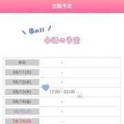 葵（あおい） 今週の予定🗓💙 NOA（ノア）