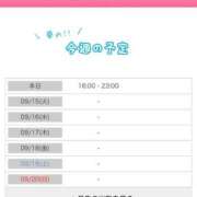 ヒメ日記 2026/09/14 14:54 投稿 葵（あおい） NOA（ノア）